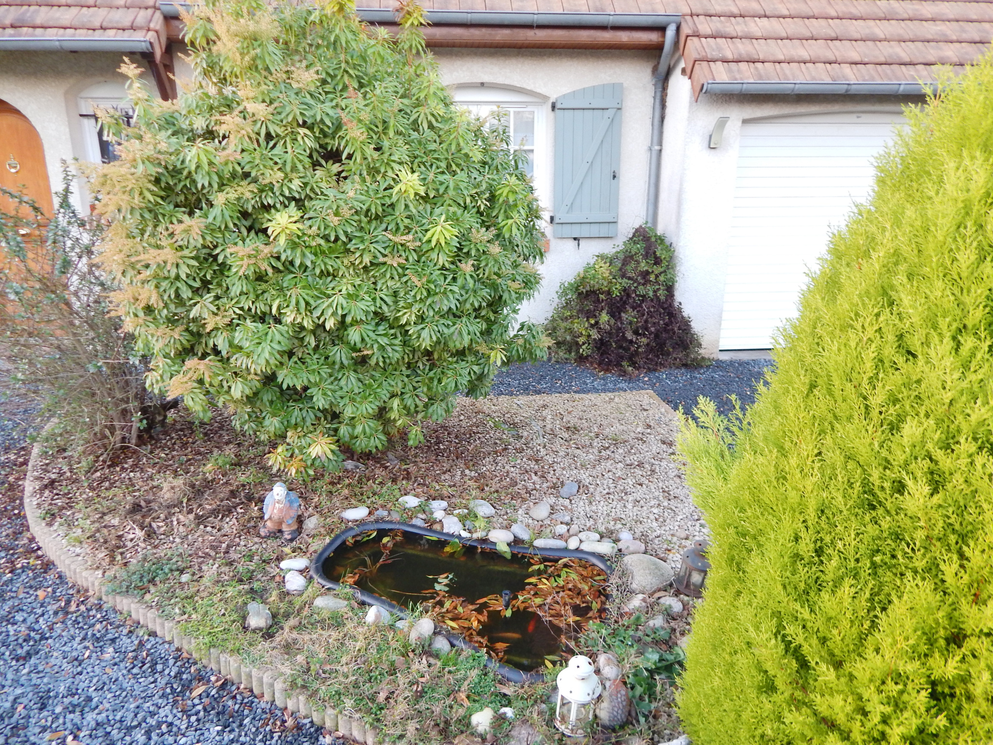 Photo 3